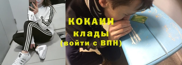 крисы Алексин