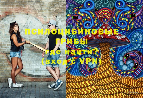 спайс Алзамай