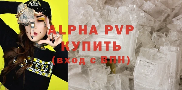 крисы Алексин