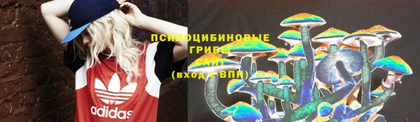 спайс Алзамай