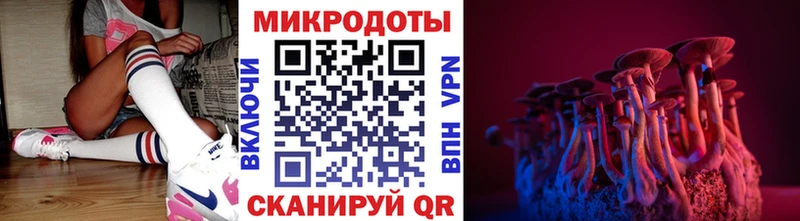 Галлюциногенные грибы Psilocybine cubensis  kraken онион  Чердынь 